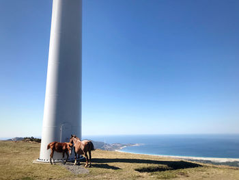 A mother horse with her calf under a windmill on the shore