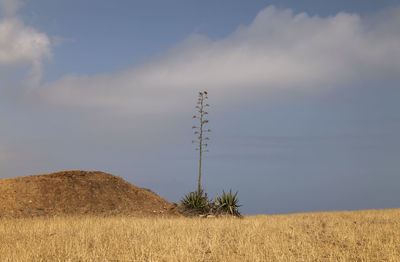 Scenic view of landscape in cabo de gata nature park, spain, against clear sky in summer