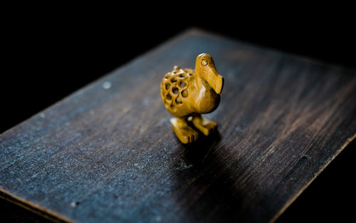 Close-up of lizard on wooden table