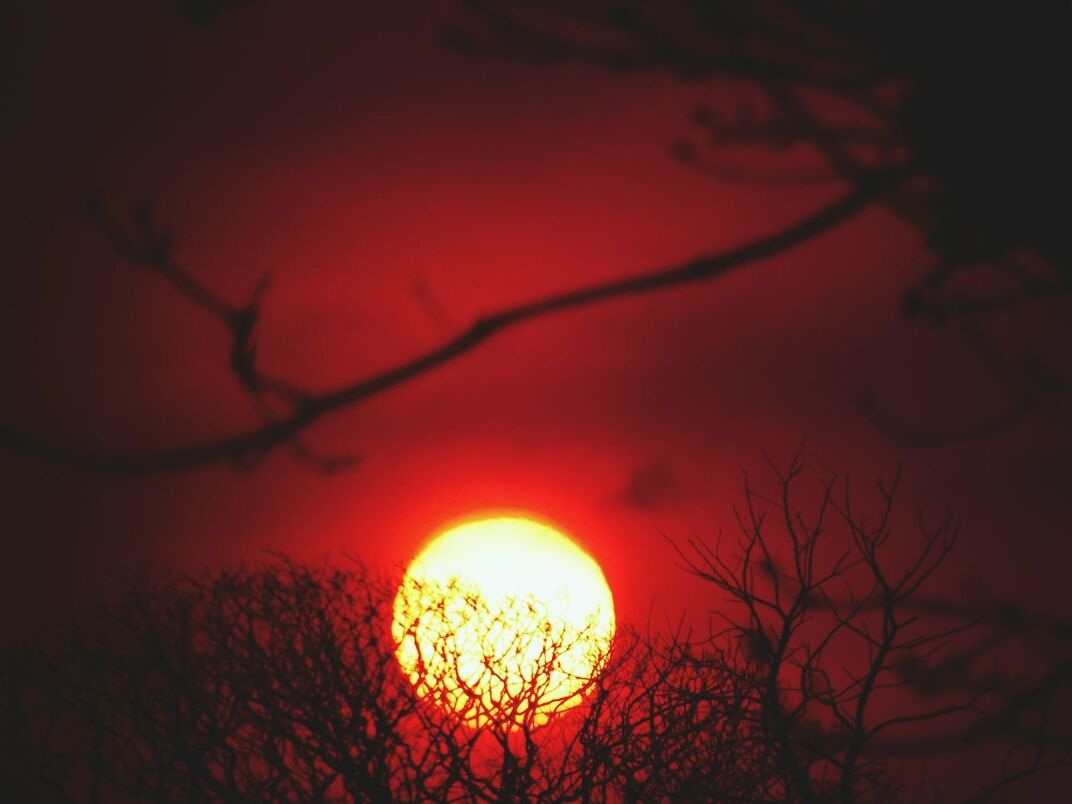 sunset, orange color, silhouette, bare tree, branch, red, sky, dark, nature, tree, beauty in nature, low angle view, close-up, tranquility, glowing, illuminated, night, outdoors, sun, no people