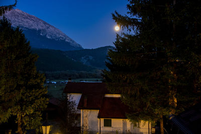 Trees and houses against sky at night