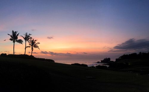 Silhouette of palm trees on beach at sunset