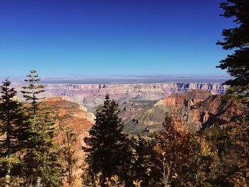 Scenic view of landscape against clear blue sky