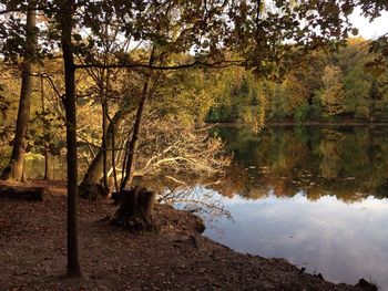 Scenic view of lake