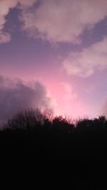 Silhouette trees against sky during sunset