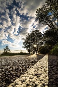 Trees on landscape against cloudy sky