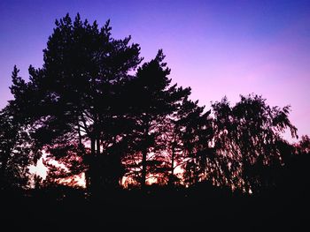 Low angle view of silhouette trees against sky at sunset