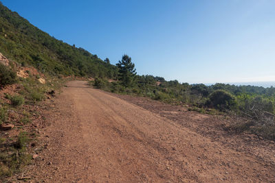 Dirt road amidst trees against clear sky