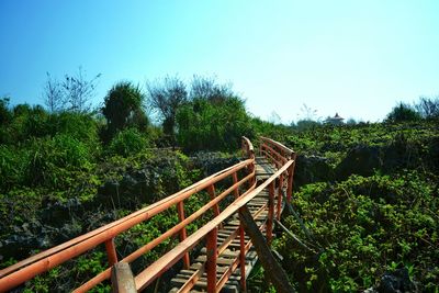 Footbridge in forest against clear sky