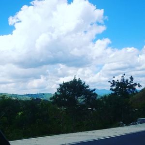 Trees on landscape against sky