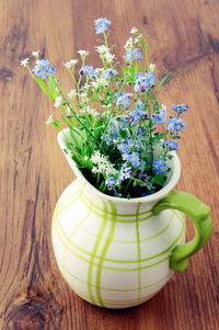 High angle view of plants on table