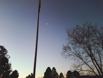 Low angle view of silhouette trees against clear sky