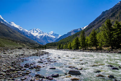 Various views of chitkul valley, himachal pradesh