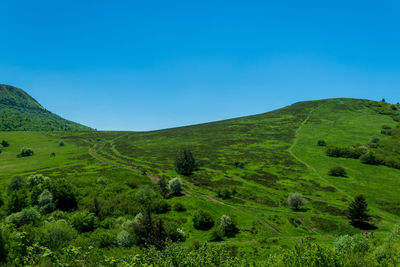 Scenic view of landscape against clear blue sky