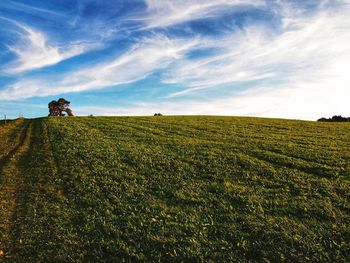 Scenic view of field against sky