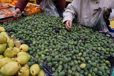 Hands of people choosing fruits in a supermarket. heap of feijoa, for sale