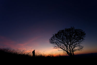 Silhouette bare tree on field against sky during sunset