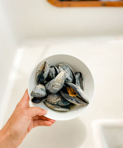 Close-up of hand holding sea shells