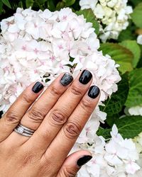 Close-up of woman hand on flowering plant