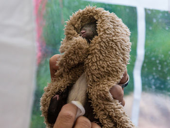 Close-up of hand squirrel