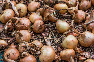 Full frame shot of onions for sale at market