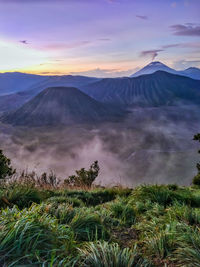 Bromo mountain indonesia