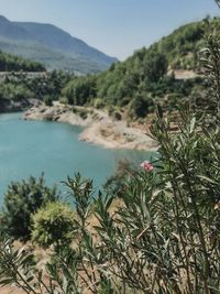 Scenic view of trees and mountains against sky