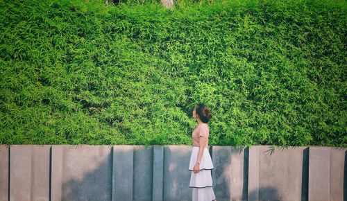 Rear view of woman standing by plants