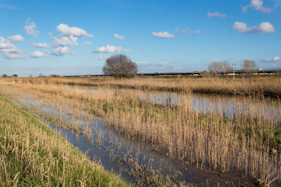 Scenic view of field against sky