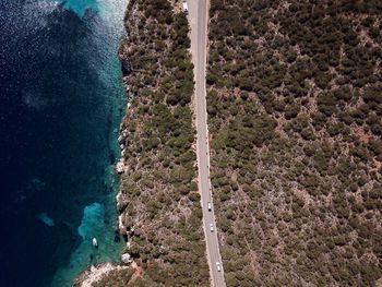 High angle view of plant on beach