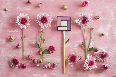 Close-up of pink flowers