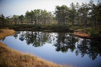 Reflection of trees in lake against sky