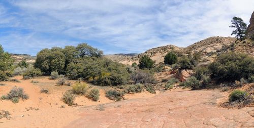 Red cliffs national conservation area on yellow knolls hiking trail southwest utah st. george