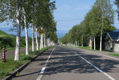 Empty road along trees