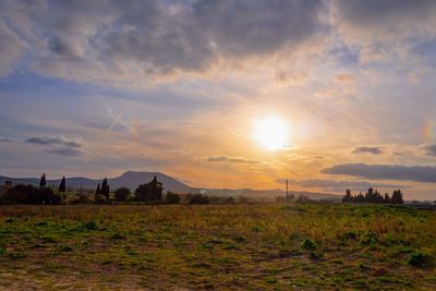 Scenic view of field against sky during sunset