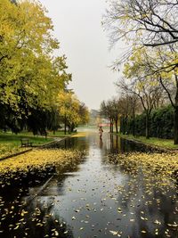 Wet walking by trees against sky during rainy season