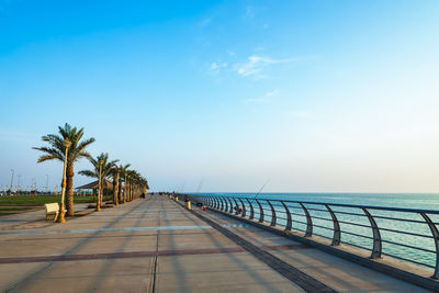 Scenic view of palm trees at beach against sky