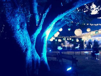 View of illuminated trees at night