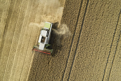 Drone view of combine harvester collecting grain in summer