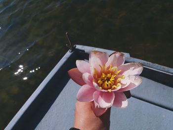 Close-up of hand holding flower