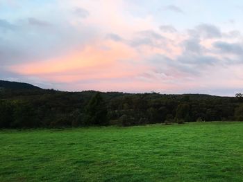 Scenic view of grassy field against cloudy sky