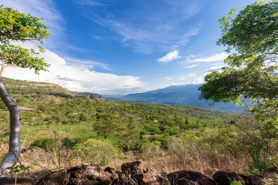 Scenic view of tree mountains against sky