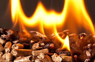 Close-up of burning wood pellets