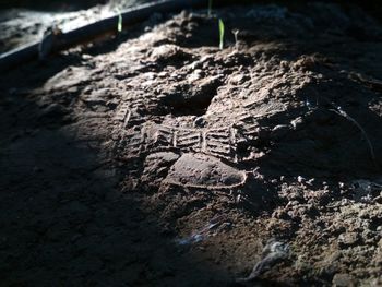 High angle view of mud on rock