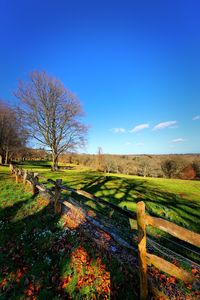 Scenic view of field against clear blue sky