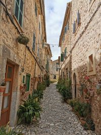 Narrow alley amidst buildings in town