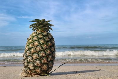 Pineapple by sea against sky