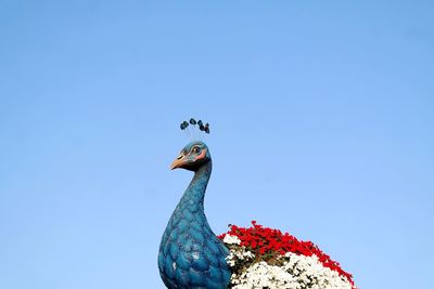 Low angle view of flowers against clear blue sky