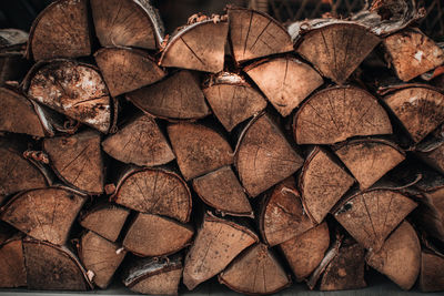 Close-up detail of chopped logs of a tree tied with a rope. background with natural texture.