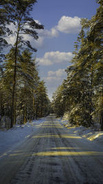 Empty road amidst trees against sky